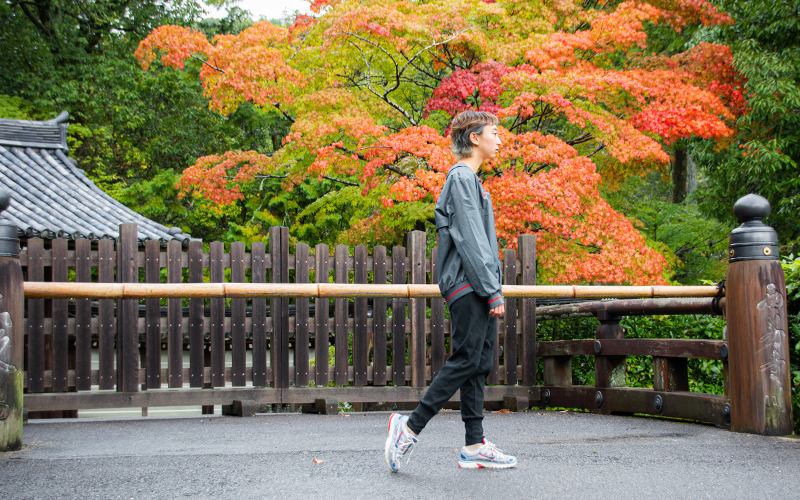 嵐山 苔寺 西芳寺 松尾 観光 京都 スポット ウォーキング 散歩 散歩