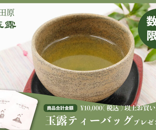 【  数量限定 】 玉露ティーバッグをプレゼント!